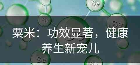 粟米：功效显著，健康养生新宠儿